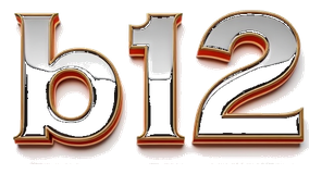 b12 logo